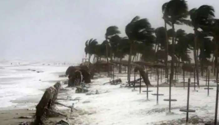 Kerala Rain: സംസ്ഥാനത്ത് പരക്കെ മഴയ്ക്ക് സാധ്യത; 14 ജില്ലകളിലും യെല്ലോ അലർട്ട്