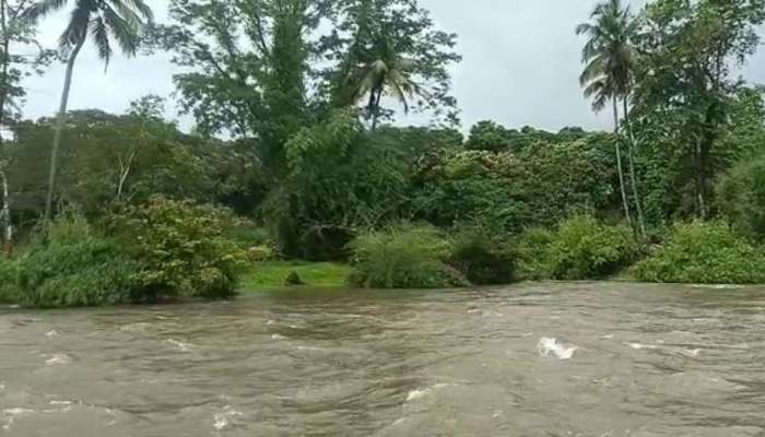 റാന്നി പരുവയിൽ പമ്പാ നദിയിലെ തുരുത്ത് ശ്രദ്ധയാകർഷിക്കുന്നു; സഞ്ചാരികളെത്തുന്നയിടമായി മാറും