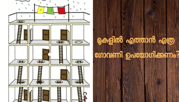 Brain Teaser Image: ഈ ചിത്രം ശ്രദ്ധിക്കൂ, മുകളിൽ എത്താൻ എത്ര ഗോവണി ഉപയോഗിക്കേണ്ടി വരും?