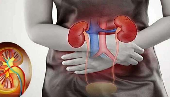 Kidney Disease Symptoms : മൂത്രത്തിൽ രക്തത്തിന്റെ അംശമോ? സൂക്ഷിക്കുക വൃക്ക രോഗത്തിന്റെ ലക്ഷണമാകാം