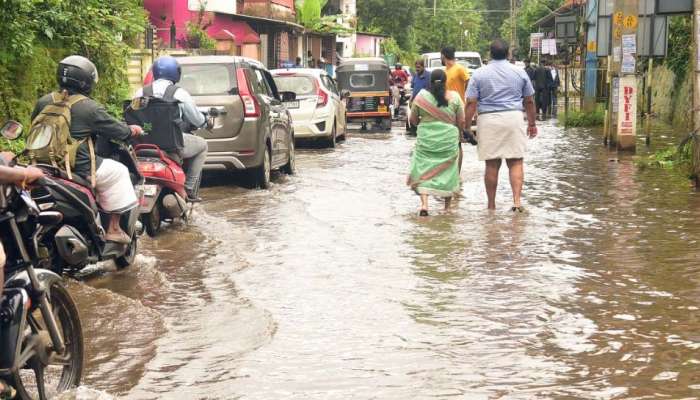 മഴക്കെടുതി; ക്ഷീര മേഖലയിൽ മാത്രം 42.85 ലക്ഷത്തിന്റെ നഷ്ടം