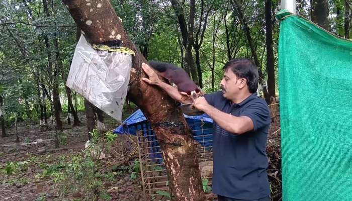 കൂട്ടുകൂടാന്‍ മലയണ്ണാൻ; ഒരു കുടുംബത്തിന്‍റെ അപൂർവ സൗഹൃദത്തിന്‍റെ കഥയറിയാം