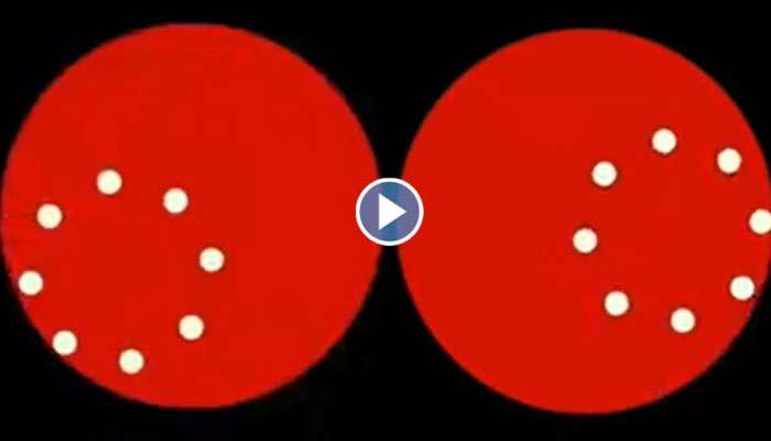 Optical Illusion Video: ഈ ബോളുകൾ സഞ്ചരിക്കുന്നത് നേർരേഖയിലാണ്; നിങ്ങൾ വിശ്വസിക്കുമോ?