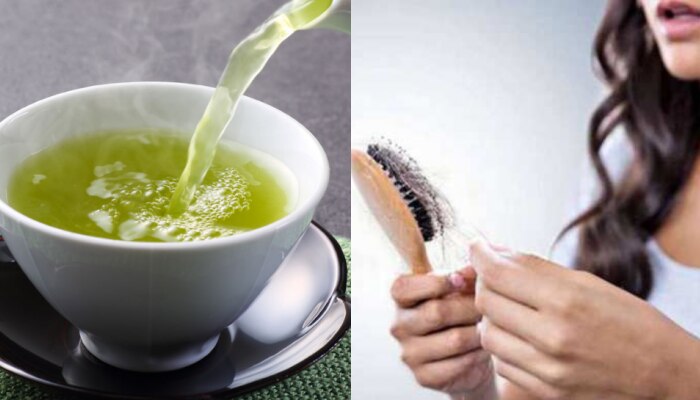 ​Green Tea Benefits: ഗ്രീൻ ടീ ഉണ്ടോ? എങ്കിൽ മുടി കൊഴിച്ചിലും താരനും കുറയ്ക്കാൻ എളുപ്പമല്ലേ....