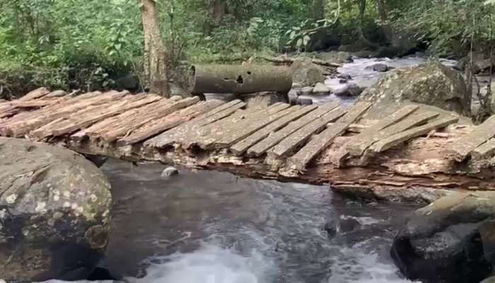 വീട്ടിലെത്താൻ റോഡില്ല, പാലമില്ല; നഗരത്തിലൊരിടം ഇങ്ങനെ കാണില്ല, ആദിവാസി ഊരുകൾ ഇങ്ങനെ മതിയല്ലോ?