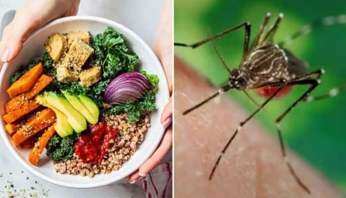 Dengue fever: ഡെങ്കിപ്പനിയിൽ നിന്ന് വേഗത്തിൽ രോ​ഗമുക്തി നേടാം... ഇക്കാര്യങ്ങൾ ശ്രദ്ധിക്കൂ