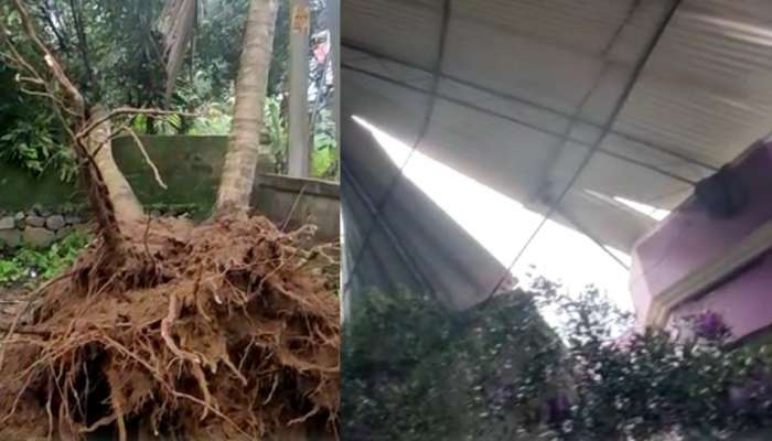 Cyclone: തൃശൂർ ചാലക്കുടിയിൽ വീണ്ടും മിന്നൽ ചുഴലി