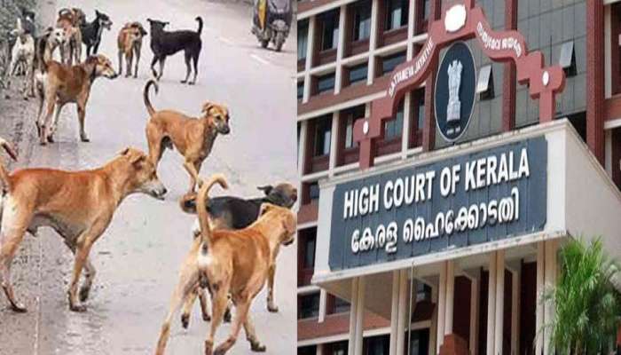 High Court On stray Dog Attack: സംസ്ഥാനത്ത് തെരുവുനായ ആക്രമണം രൂക്ഷം; ഹൈക്കോടതിയുടെ പ്രത്യേക സിറ്റിംഗ് ഇന്ന്  