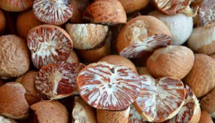 Betel Nut: ഗുണങ്ങളും ദോഷങ്ങളുമുണ്ട്... അറിയാം അടയ്ക്കയുടെ ​ഉപയോ​ഗം