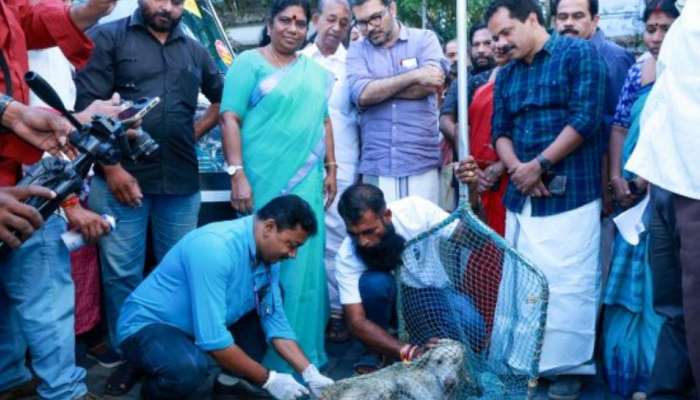 Stray Dog Issue: തിരുവനന്തപുരത്ത് തെരുവുനായ തീവ്ര വാക്‌സിനേഷന്‍ യജ്ഞത്തിന് തുടക്കം