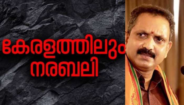 ഇലന്തൂർ നരബലി: സമഗ്ര അന്വേഷണം വേണം: കെ.സുരേന്ദ്രൻ