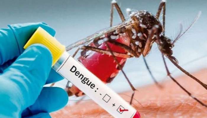 Dengue Alert: ഡെങ്കിപ്പനി പടരുന്നു; കാരണങ്ങൾ അറിയാം... പ്രതിരോധിക്കാം