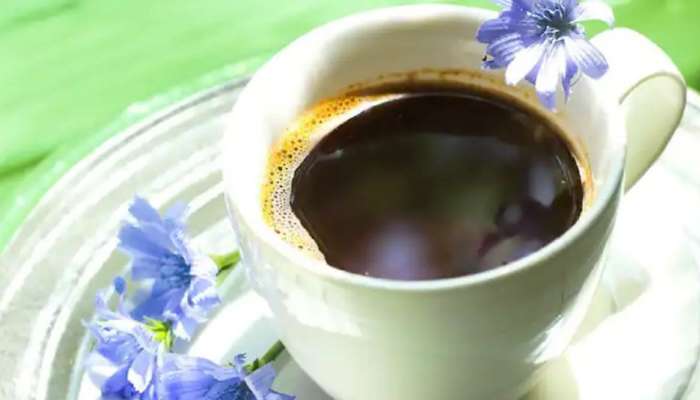 Chicory: സാധാരണ കോഫിയേക്കാൾ ​ഗുണമേന്മയുള്ളതാണോ ചിക്കറി കോഫി?