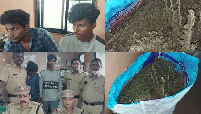 Cannabis seized: തിരുവനന്തപുരം അമരവിളയിൽ വൻ കഞ്ചാവ് വേട്ട; 10 കിലോ കഞ്ചാവുമായി രണ്ട് പേർ പിടിയിൽ