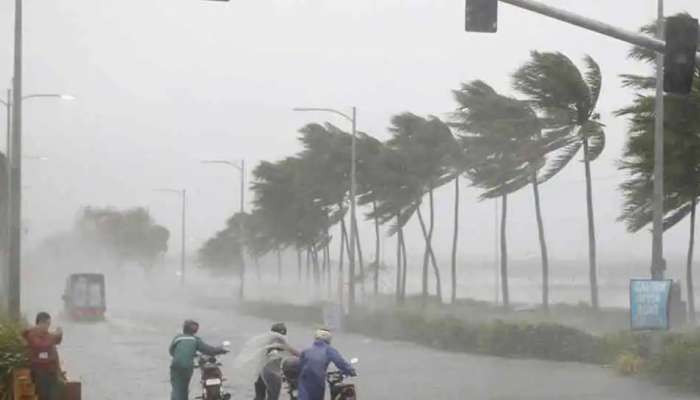 Rain alert: സംസ്ഥാനത്ത് ഇന്നും മഴ തുടരുമെന്ന് മുന്നറിയിപ്പ്; 11 ജില്ലകളിൽ യെല്ലോ അലർട്ട്