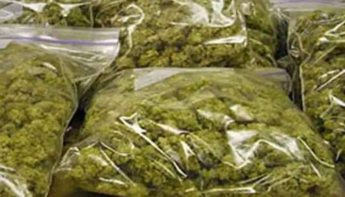 Cannabis seized: കഞ്ചാവ് പൊതി വലിച്ചെറിഞ്ഞു, കൂടെ മൊബൈൽ ഫോണും; പോലീസിന്റെ പിടിവീണതിങ്ങനെ