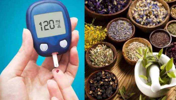 Herbs For Diabetes: പ്രേമഹത്തിന് ബെസ്റ്റാണ് ഈ ആയുര്‍വേദ മരുന്നുകള്‍