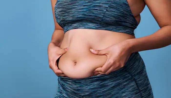 Visceral Fat: തൈര് കഴിച്ചോളൂ, ഈസിയായി വിസറൽ ഫാറ്റ്  കുറയ്ക്കാം...!!