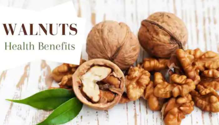 Walnuts Health Benefits: ദിവസവും വാൾനട്ട് കഴിച്ചാൽ നിരവധി ​ഗുണങ്ങൾ; അറിയാം വാൾനട്ടിന്റെ ആരോ​ഗ്യ ​ഗുണങ്ങൾ