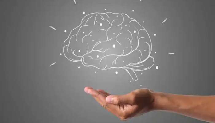 Memory Problems: ഈ അഞ്ച് കാര്യങ്ങൾ വാർധക്യത്തിന് മുൻപേ നിങ്ങളെ ഓർമ്മ തകരാറുകളിലേക്ക് നയിച്ചേക്കാം