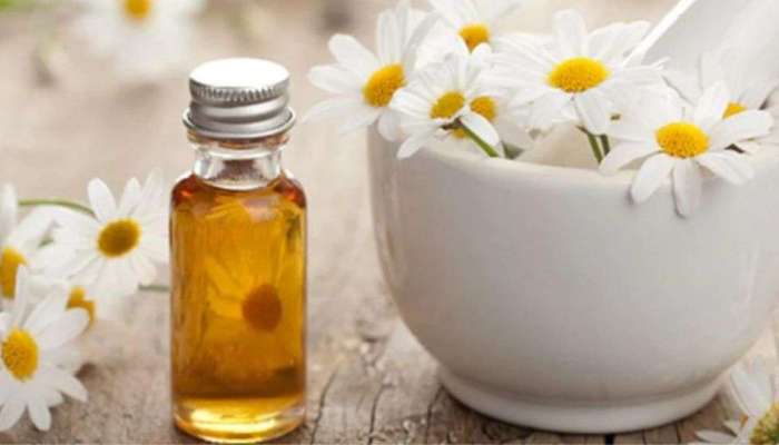 Chamomile oil: ശൈത്യകാലത്ത് ചർമ്മസംരക്ഷണത്തിന് ചമോമൈൽ ഓയിൽ ഇങ്ങനെ ഉപയോ​ഗിക്കാം