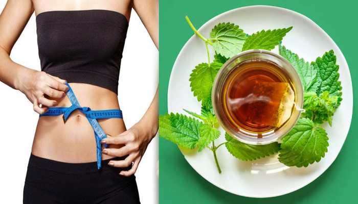 Herbal Weight Loss Drink: ഈ അത്ഭുത പാനീയം കുടിയ്ക്കൂ, 7 ദിവസത്തിനകം പൊണ്ണത്തടി താനേ കുറയും  