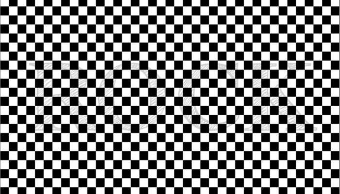 Optical Illusion : നിങ്ങൾ ബുദ്ധിമാനാണെങ്കിൽ ഈ ചിത്രത്തിൽ ഒളിച്ചിരിക്കുന്ന വാക്ക് 5 സെക്കന്റിൽ കണ്ടെത്തൂ 