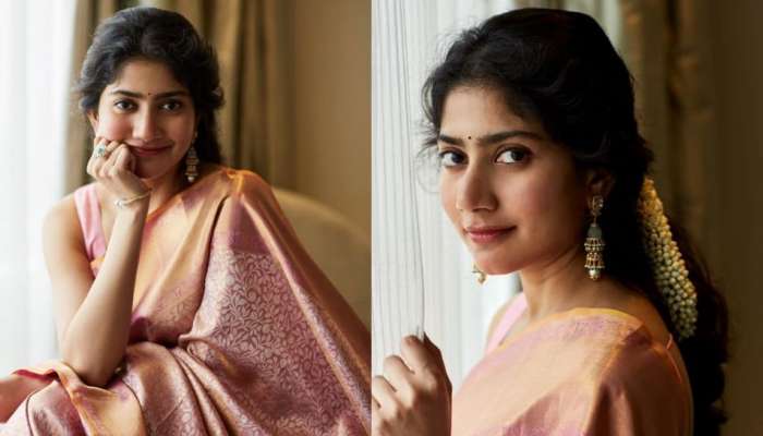 Sai Pallavi: സായ് പല്ലവി പുതിയ ബിസിനസിലേക്ക്? സിനിമയിൽ നിന്നും ബ്രേക്ക് എടുക്കുന്നതായി സൂചന