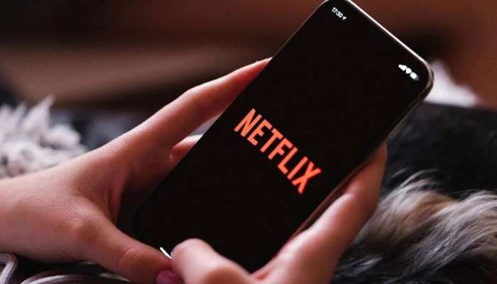 Netflix Subscription Fraud : നെറ്റ്ഫ്ലിക്സ് സബ്‌സ്‌ക്രിപ്ഷൻ പുതുക്കാൻ ശ്രമിച്ചു;  ബിസിനസുകാരന് നഷ്ടപ്പെട്ടത് ഒരു ലക്ഷം രൂപ