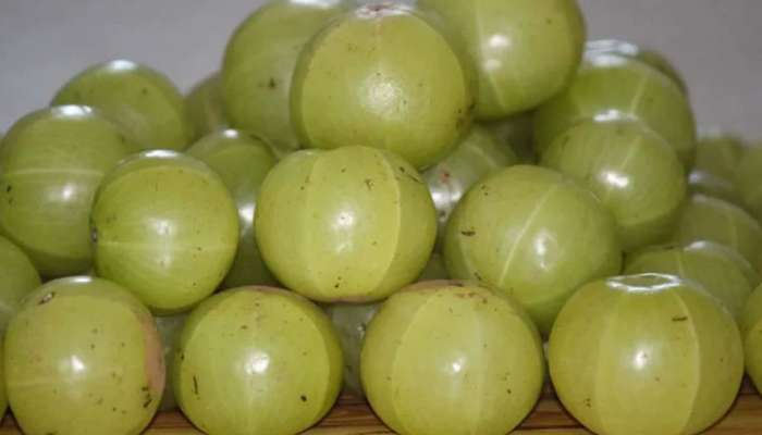 Gooseberry Side Effects: ഈ രോഗങ്ങളുള്ളവർ അബദ്ധത്തിൽ പോലും നെല്ലിക്ക കഴിക്കരുത്!