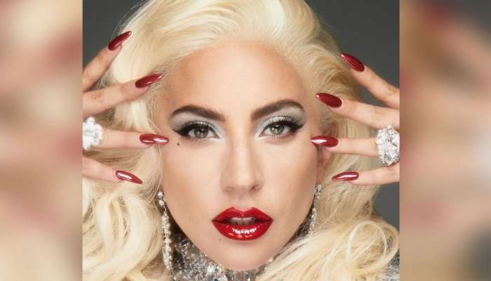 Lady Gaga: ലേഡി ഗാഗയുടെ 'ഡോഗ് വാക്കറെ' വെടിവച്ച കേസില്‍ പ്രതിയ്ക്ക് 21 വര്‍ഷം ജയില്‍ ശിക്ഷ; യഥാര്‍ത്ഥത്തില്‍ സംഭവിച്ചതെന്ത്?