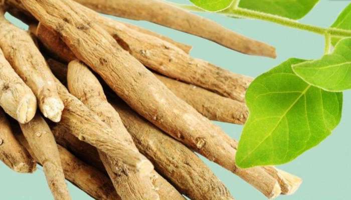 Ashwagandha: അശ്വ​ഗന്ധയുടെ ഉപയോ​ഗവും ​ഗുണങ്ങളും ദോഷങ്ങളും അറിയാം