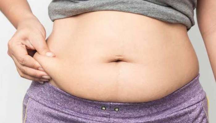 Weight Loss Tips : വണ്ണം കുറയ്ക്കാനുള്ള ചില എളുപ്പവഴികള്‍