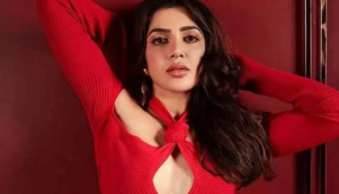 Samantha Movie Break: സാമന്ത സിനിമയിൽ നിന്നും ബ്രേക്ക് എടുക്കുമോ? ഇൻഡസ്ട്രിയിൽ പരക്കുന്ന വാർത്തകൾ