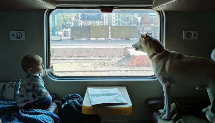 Train Travel with Pets: ട്രെയിന്‍ യാത്രയില്‍ ഇനി വളര്‍ത്തുനായയേയും കൂട്ടാം, അവയ്ക്കും ലഭിക്കും സീറ്റ്....!! 