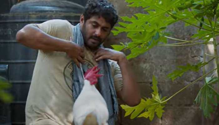 Poovan Movie : 'ഈ കോഴി ഡെയ്ഞ്ചറാണ്'; ചിരിപ്പിച്ച് ത്രില്ലടിപ്പിക്കാൻ പൂവൻ എത്തുന്നു; ട്രെയിലർ