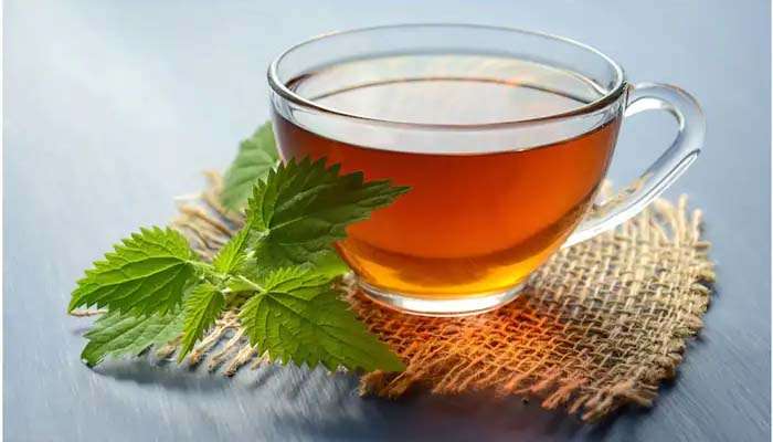 Green Tea For Weight Loss: ശരീരഭാരം കുറയ്ക്കാൻ ഗ്രീൻ ടീ കുടിയ്ക്കുന്നവരാണോ? എങ്കില്‍ ഇക്കാര്യം തീര്‍ച്ചയായും അറിഞ്ഞിരിക്കണം  