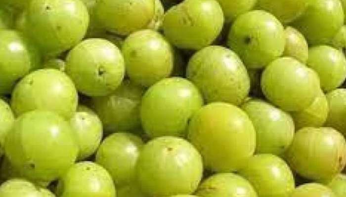 Indian gooseberry health benefits: കയ്ച്ചാലും മധുരിച്ചാലും ​ഗുണങ്ങളിൽ വിട്ടുവീഴ്ചയില്ല; അറിയാം നെല്ലിക്കയെ