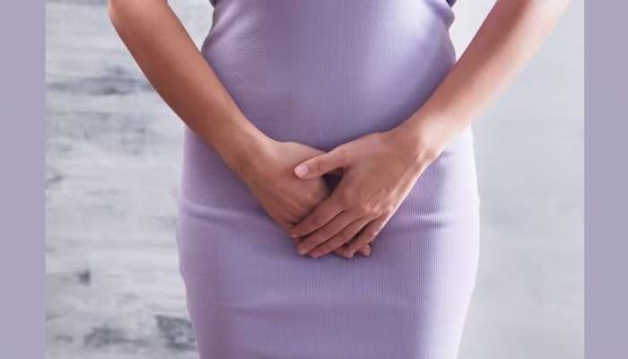 Ovarian Cyst: സിസ്റ്റ് ​ഗർഭധാരണത്തെ ബാധിക്കുമോ? ലക്ഷണങ്ങളും ചികിത്സയും അപകടഘടകങ്ങളും അറിയാം