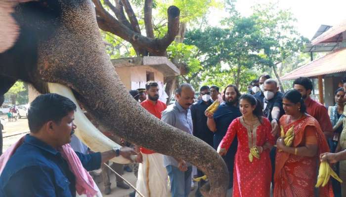 ഗുരുവായുരപ്പൻ്റെ അനുഗ്രഹം തേടി ആനന്ദ് അംബാനിയും പ്രതിശ്രുത വധുവും ഗുരുവായൂരിൽ