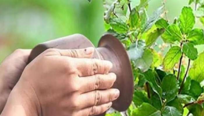 Tulsi Plant Vastu: ഈ ദിവസങ്ങളിൽ തുളസിച്ചെടിക്ക് വെള്ളം ഒഴിക്കരുത്; ലക്ഷ്മീദേവിയുടെ കോപം നിങ്ങളെ ദാരിദ്ര്യത്തിലാക്കും