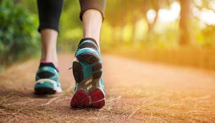 Walking Benefits: ഭക്ഷണം കഴിച്ചതിനുശേഷം അല്പം നടക്കാം... കാരണവും ഗുണങ്ങളും അറിയാം 