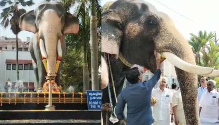 Guruvayur Padmanabhan: ഗജരത്നം ഗുരുവായൂർ പത്മനാഭന് സ്മരണാഞ്ജലി