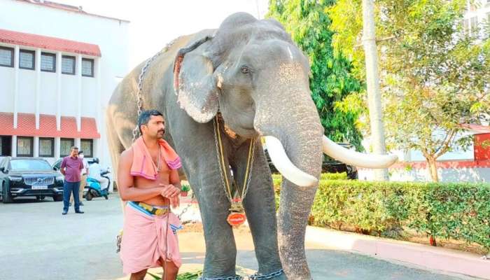 Guruvayur Radhakrishnan: രാധാകൃഷ്ണൻ പുന്നത്തൂർ കോട്ടയുടെ പുറം ലോകം കണ്ടു; 12 കൊല്ലത്തിനു ശേഷം