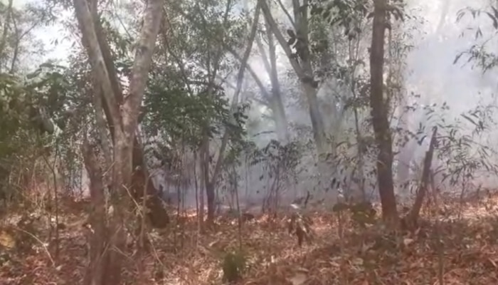Fire Accident : പാറശ്ശാല കെഎസ്ആർടിസി ഡംപിങ്  യാർഡിന് സമീപം തീ പിടുത്തം