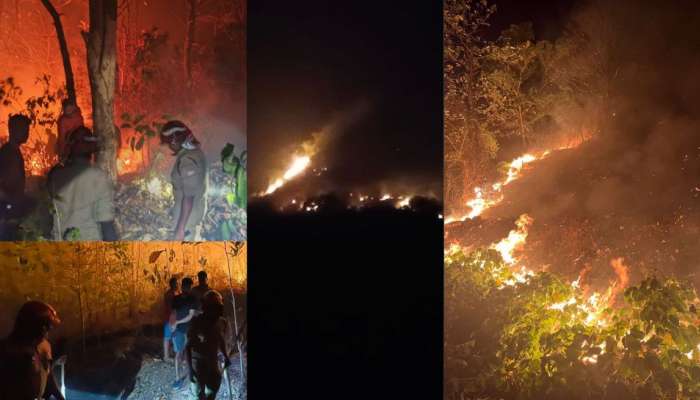 Wildfire: നെയ്യാറ്റിൻകര കുരിശുമലക്ക് സമീപം കൊണ്ടകെട്ടി മലനിരകളിൽ വൻ തീ പിടിത്തം