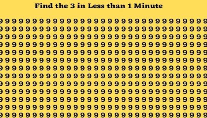 Optical Illusion: ഈ ചിത്രത്തില്‍ ഒരു 3 കണ്ടെത്താമോ? അതിശയകരമായ ചിത്രം വൈറല്‍