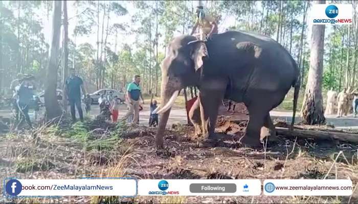 Arikkomban ​Idukki