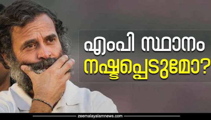 Rahul Gandhi Convicted: രാഹുല്‍ ഗാന്ധിയുടെ എംപി സ്ഥാനം നഷ്ടപ്പെടുമോ?...? ഇങ്ങനെ സംഭവിച്ചാല്‍ ഉറപ്പായും നഷ്ടപ്പെടും; പ്രതിവിധി എന്ത്?