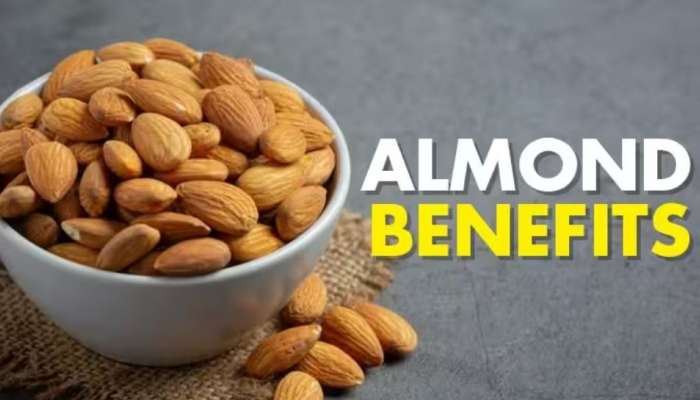 Almond Benefits: ബദാം കഴിക്കുന്നത് രക്തത്തിലെ പഞ്ചസാരയുടെ അളവ് കുറയ്ക്കാൻ സഹായിക്കുമോ?